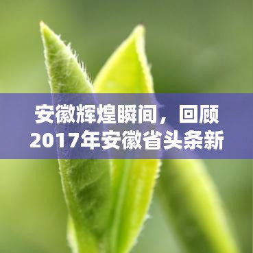 反正还淳 第2页
