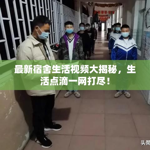 最新宿舍生活视频大揭秘，生活点滴一网打尽！