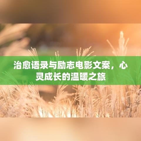 治愈语录与励志电影文案，心灵成长的温暖之旅