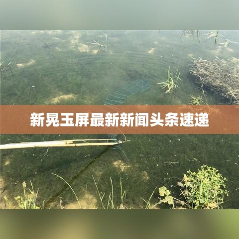 新晃玉屏最新新闻头条速递