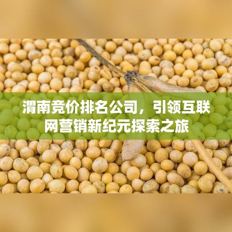 渭南竞价排名公司，引领互联网营销新纪元探索之旅
