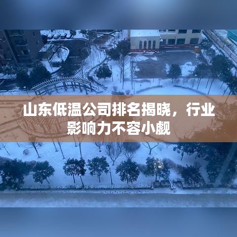 山东低温公司排名揭晓，行业影响力不容小觑