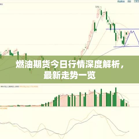 燃油期货今日行情深度解析，最新走势一览