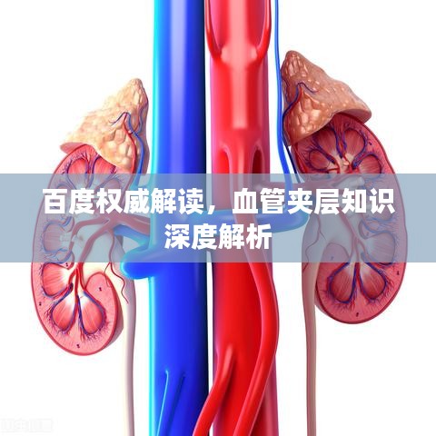 百度权威解读，血管夹层知识深度解析
