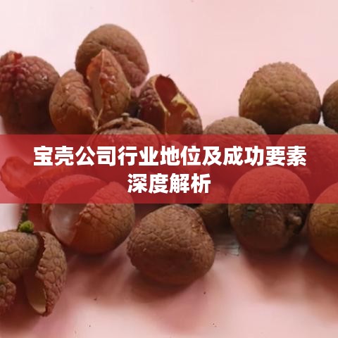 宝壳公司行业地位及成功要素深度解析