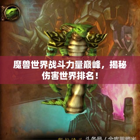 魔兽世界战斗力量巅峰，揭秘伤害世界排名！