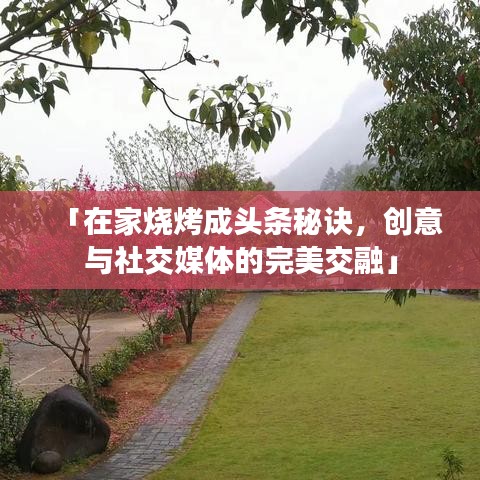 「在家烧烤成头条秘诀，创意与社交媒体的完美交融」