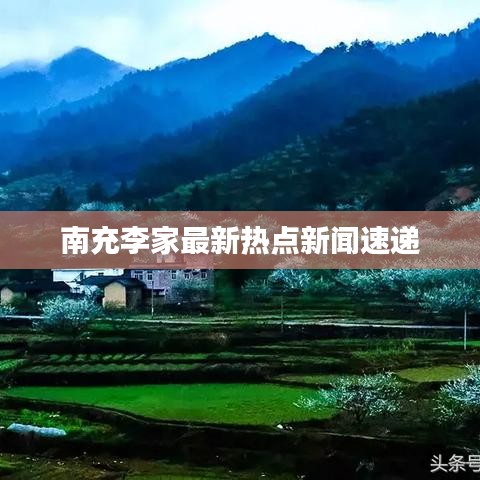 南充李家最新热点新闻速递