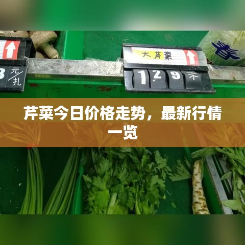 芹菜今日价格走势，最新行情一览