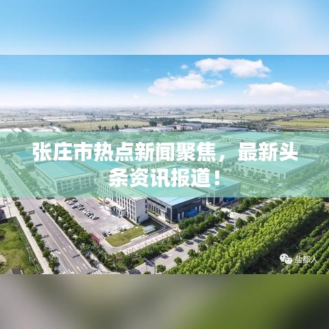 张庄市热点新闻聚焦，最新头条资讯报道！