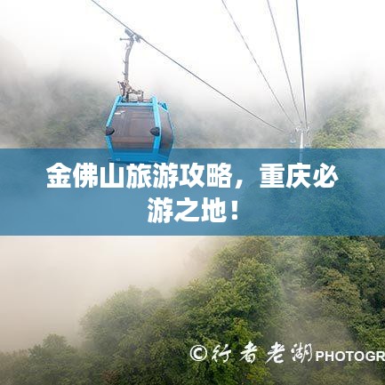 金佛山旅游攻略，重庆必游之地！