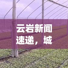 云岩新闻速递，城市新动向与发展前沿聚焦