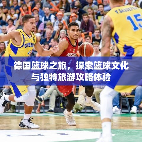 德国篮球之旅，探索篮球文化与独特旅游攻略体验