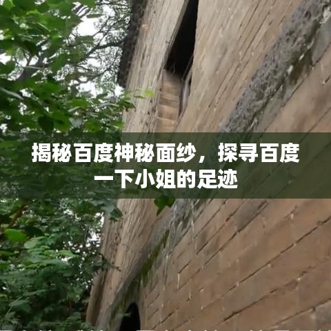 揭秘百度神秘面纱，探寻百度一下小姐的足迹