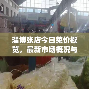 淄博张店今日菜价概览，最新市场概况与新鲜菜价速览