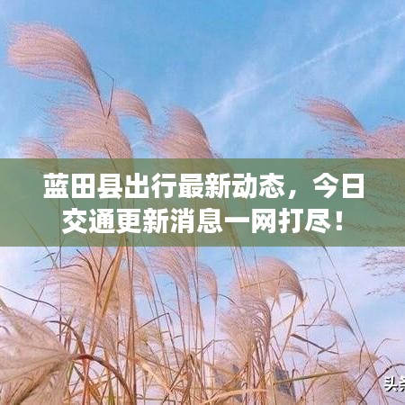 蓝田县出行最新动态，今日交通更新消息一网打尽！