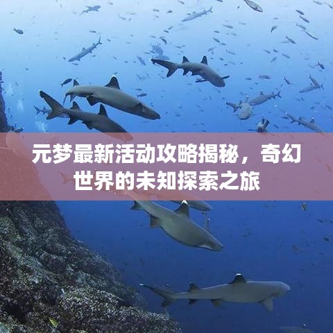 元梦最新活动攻略揭秘，奇幻世界的未知探索之旅