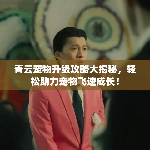 青云宠物升级攻略大揭秘，轻松助力宠物飞速成长！
