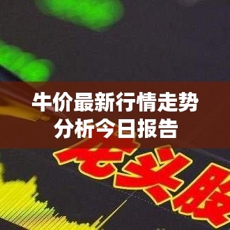 牛价最新行情走势分析今日报告