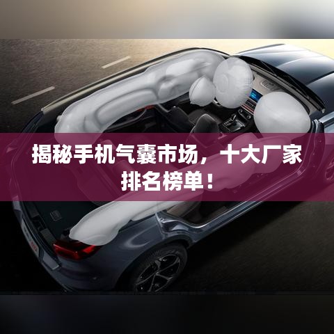 揭秘手机气囊市场，十大厂家排名榜单！