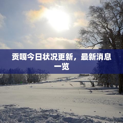 贡嘎今日状况更新，最新消息一览