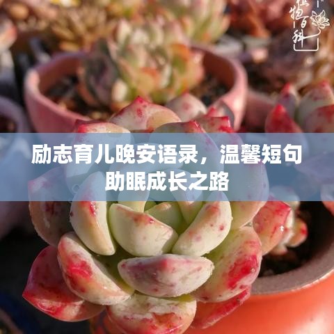 励志育儿晚安语录，温馨短句助眠成长之路