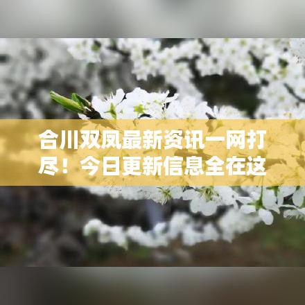 合川双凤最新资讯一网打尽！今日更新信息全在这