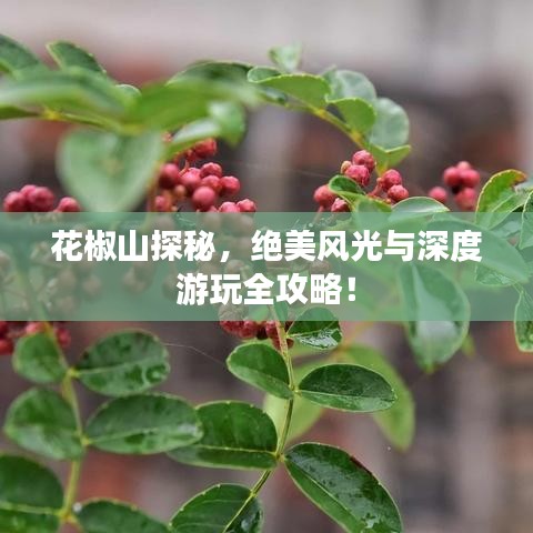 花椒山探秘，绝美风光与深度游玩全攻略！