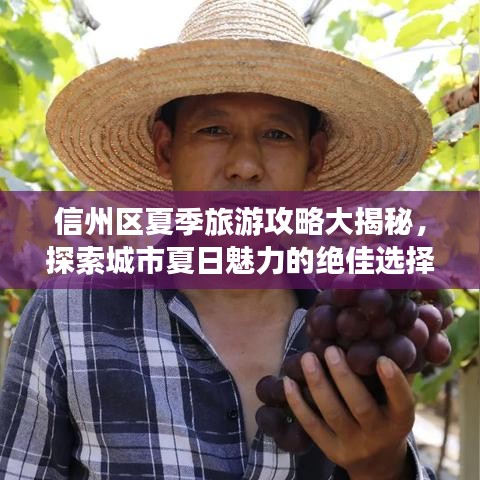 信州区夏季旅游攻略大揭秘，探索城市夏日魅力的绝佳选择