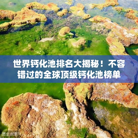 还醇返朴