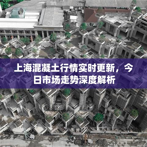 上海混凝土行情实时更新，今日市场走势深度解析