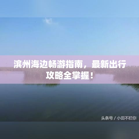滨州海边畅游指南，最新出行攻略全掌握！