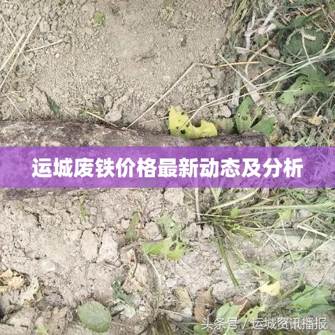 运城废铁价格最新动态及分析