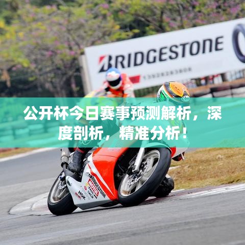 公开杯今日赛事预测解析，深度剖析，精准分析！
