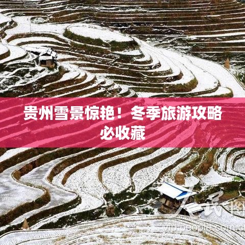 贵州雪景惊艳！冬季旅游攻略必收藏