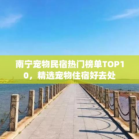 南宁宠物民宿热门榜单TOP10，精选宠物住宿好去处