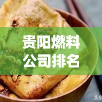 贵阳燃料公司排名揭秘，行业深度分析与前景展望