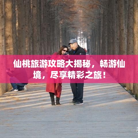 仙桃旅游攻略大揭秘，畅游仙境，尽享精彩之旅！