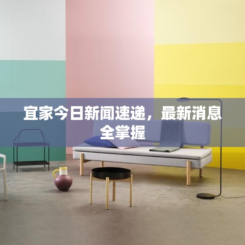 宜家今日新闻速递，最新消息全掌握