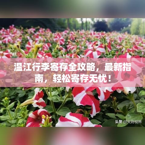 温江行李寄存全攻略，最新指南，轻松寄存无忧！