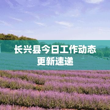 长兴县今日工作动态更新速递