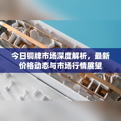 今日铜牌市场深度解析，最新价格动态与市场行情展望