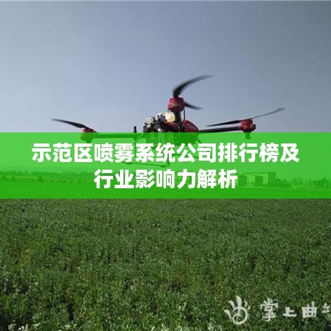示范区喷雾系统公司排行榜及行业影响力解析