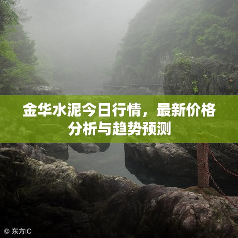金华水泥今日行情，最新价格分析与趋势预测