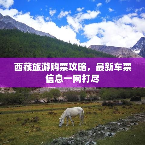 西藏旅游购票攻略，最新车票信息一网打尽