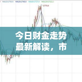 今日财金走势最新解读，市场动态与影响因素全掌握