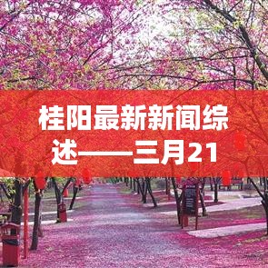 桂阳最新新闻综述——三月21日头条聚焦