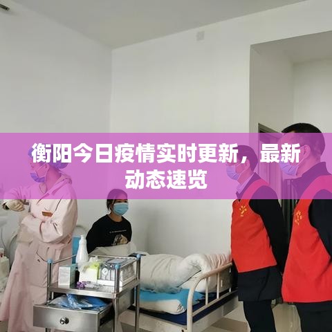 衡阳今日疫情实时更新，最新动态速览