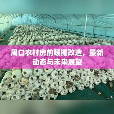 周口农村房前暖棚改造，最新动态与未来展望
