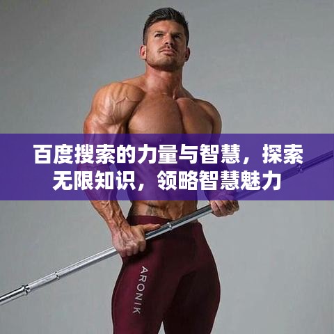 百度搜索的力量与智慧，探索无限知识，领略智慧魅力